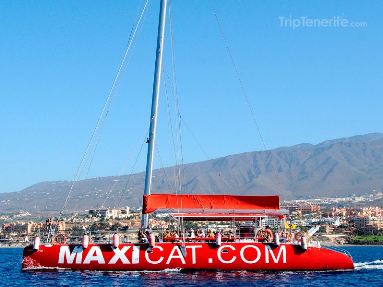 Maxicat Catamaran Tour for watching Whales & Dolphins in Tenerife