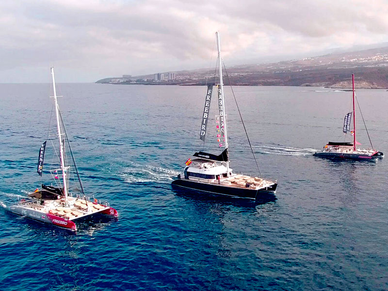 catamaran boat trip tenerife