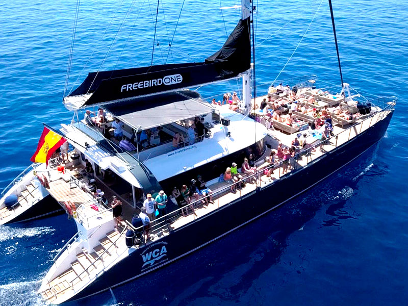 catamaran boat trip tenerife