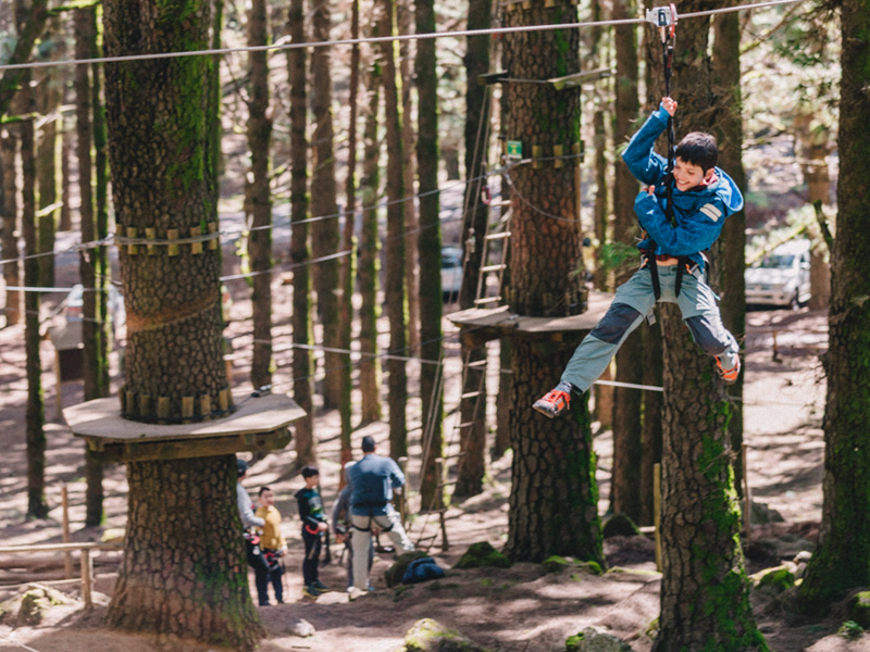 Forestal Park Tenerife - TripTenerife